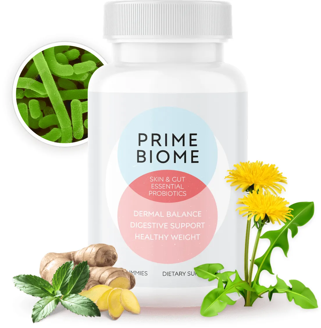 PrimeBiome review bottle